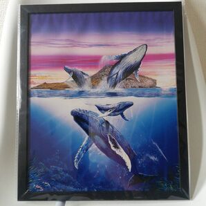 アートパネル ハワイ ワイキキ オアフ クジラ リゾート ビーチ 海 サンライズ ダイビング 太平洋 大西洋 海洋 鯨 朝日 夕日