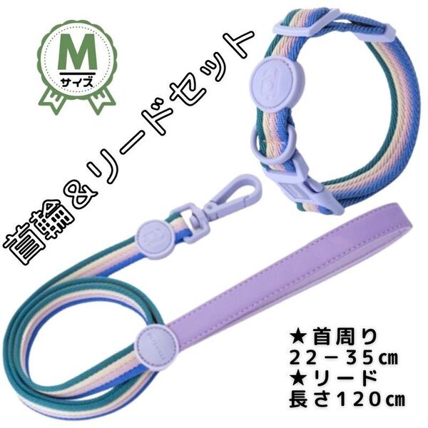 首輪・リードセット★ミックスカラー☆レインボー★軽量★かわいい