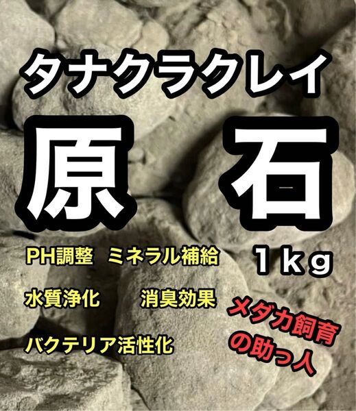 【GMめだか】タナクラクレイ 原石 1kg → メダカ バクテリア 水質浄化 安定 濾過 濾材 メダカ らんちゅう 金魚 錦鯉