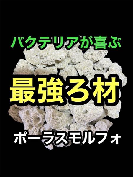 【GMめだか】最強ろ材 ポーラスモルフォ 1kg→バクテリア 水質浄化 安定 濾過 濾材メダカ らんちゅう 熱帯魚 金魚 錦鯉