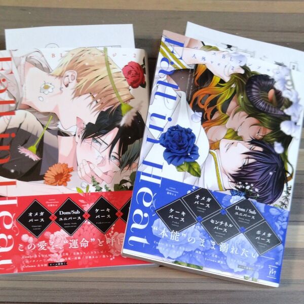 バースBLアンソロジー 2 2冊セット