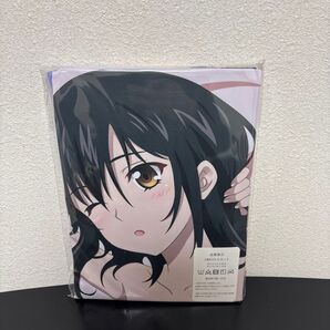 ストライク・ザ・ブラッド姫柊雪菜 抱き枕カバー