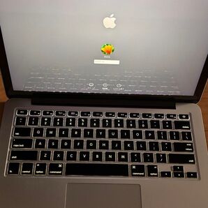 Apple MacBook Pro Mid 2014 Latina Display