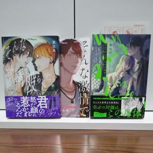 BLコミック そんな激情で殴られたい アニメイト限定小冊子付き/マイ・パッド・ペインキラー/紫比呂