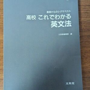高校 これでわかる 英文法