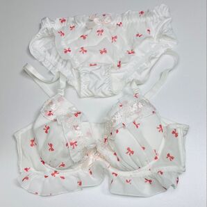 C90 3L ブラジャーショーツセット