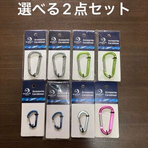 《新品》 カラビナ 選べる2点セット ホールアース
