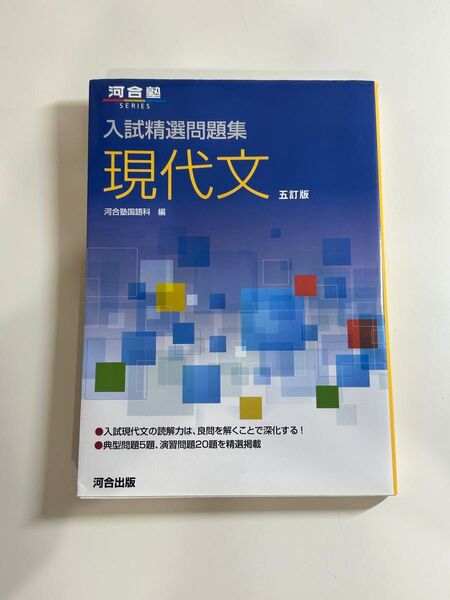 河合塾 大学入試 現代文 国語 答え付き