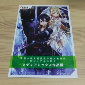 アニメイト 電撃小説大賞受賞作購入者特典 ビジュアル小冊子 メディアミックス作品編