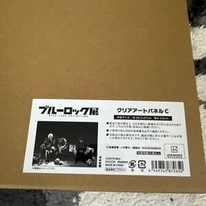 ブルーロック展 クリアアートパネルC カイザー潔
