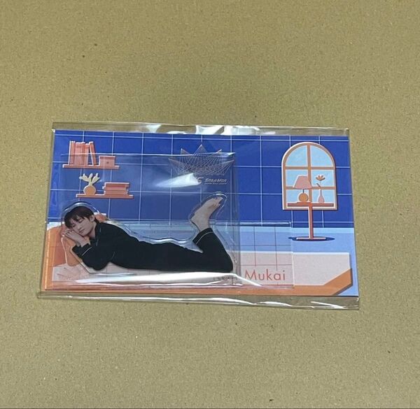 向井 アクリルスタンド