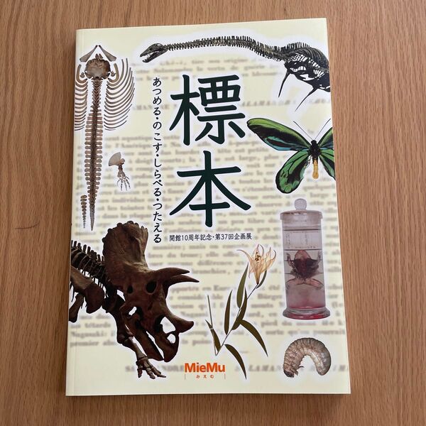 昆虫 標本 図録 自由研究