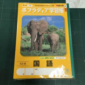 新品　デッドストック　倉庫保管品　セイカ　ノート　ポプラディア学習帳　10冊セット　国語　12行　アフリカゾウ　B