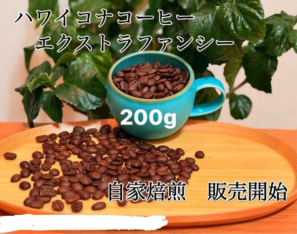 ハワイコナ エクストラファンシー100%シティロースト自家焙煎200g 当カフェで提供している品です 商品詳細を必読ください