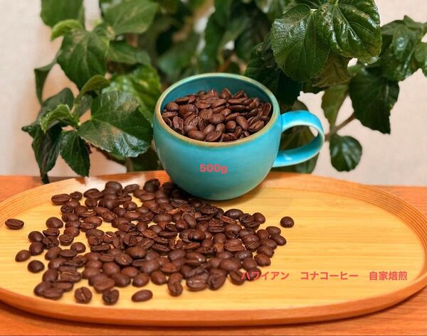 ハワイコナ エクストラファンシー100%シティロースト自家焙煎500g 当カフェで提供している品です 商品詳細を必読ください