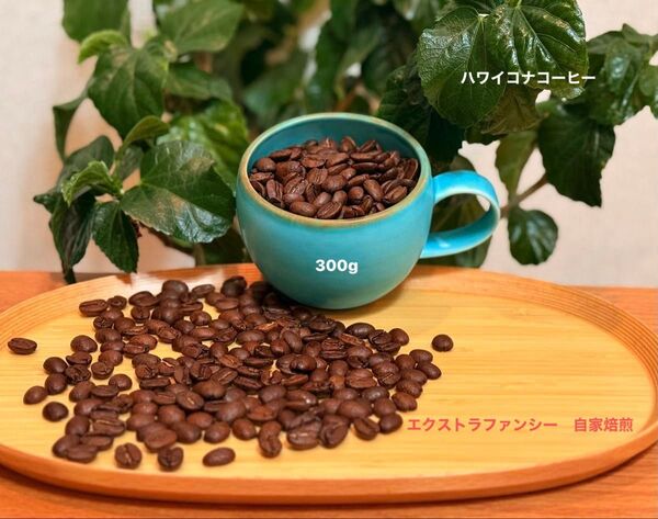 ハワイコナ エクストラファンシー100%シティロースト自家焙煎300g 当カフェで提供している品です 商品詳細を必読ください