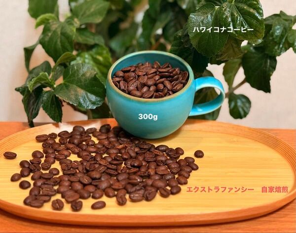ハワイコナ エクストラファンシー100%シティロースト自家焙煎300g 当カフェで提供している品です 商品詳細を必読ください