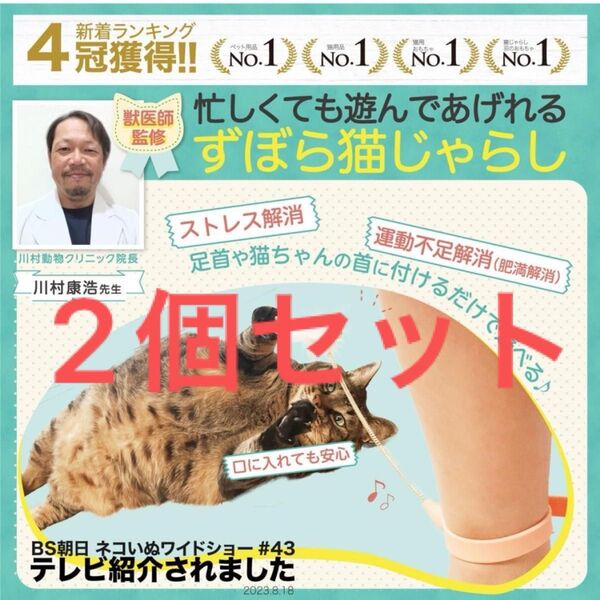『2個セット』【 獣医師監修 忙しくても遊んであげれる 】ずぼら 猫 じゃらし おもちゃ 羽 ひとり遊び 運動不足 にゃんこの宿