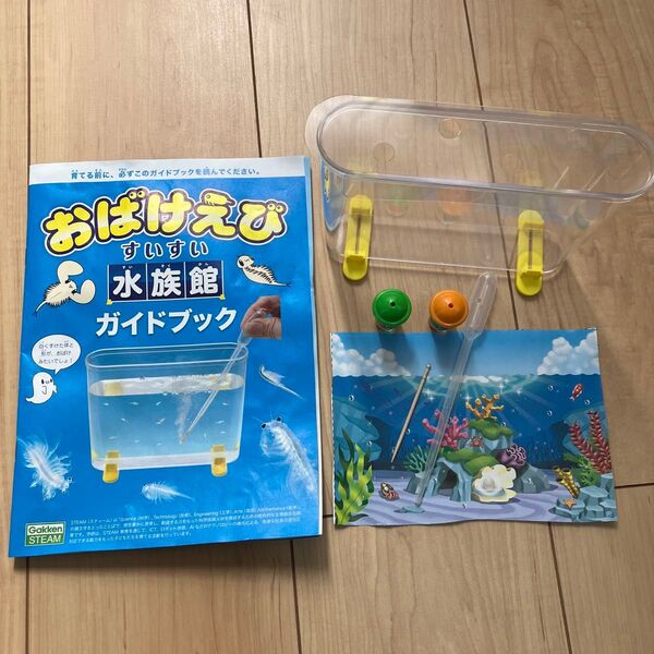 【科学と学習 PRESENTS】おばけえび すいすい水族館 (※箱、海の水のもと無し)