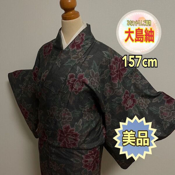 【美品【大島紬】】袷 黒 グレー 牡丹 高身長向け リメイク アンティーク着物 正絹