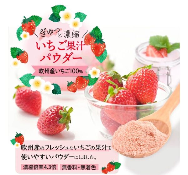 2袋×100g イチゴパウダー いちご果汁パウダー 粉末いちご パウダーストロベリー