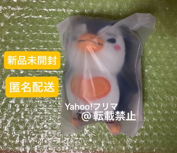 【セール】ジュノ 皇帝ペンペン ぬいぐるみ 13cm 2024 ソウルコン 公式グッズ