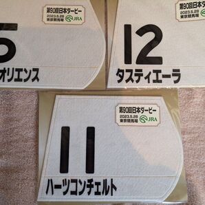 【日本ダービー2024限定販売ミニゼッケン】1・2・3着馬