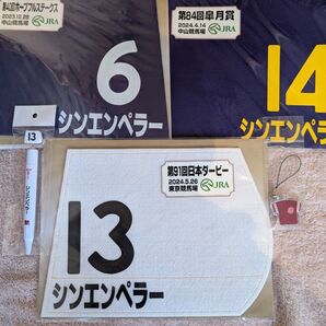 【非売品ミニゼッケン】シンエンペラー