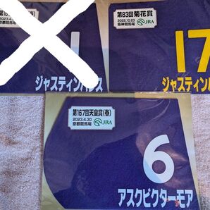 【期間限定ミニゼッケン】ジャスティンパレス&ビクターモア