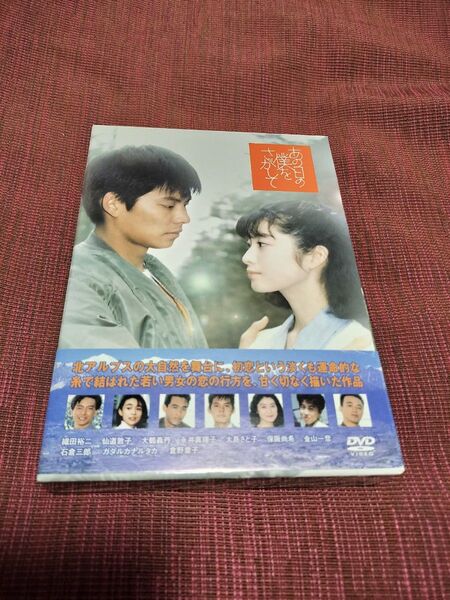 あの日の僕をさがして DVD Box