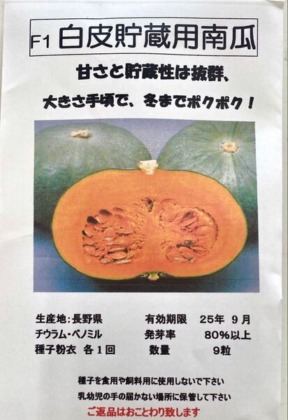 冬までポクポク F1白皮貯蔵用南瓜種子9粒