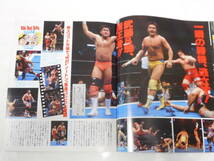 週刊プロレス　新日本プロレス1991年11月5日武道館大会増刊号　長州力VS橋本真也、藤波辰爾VS蝶野正洋、武藤敬司＆馳浩VSノートン＆リック_画像9