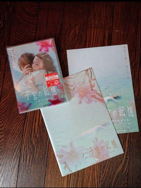 《子宮の記憶》DVD,パンフレット 松雪泰子柄本佑