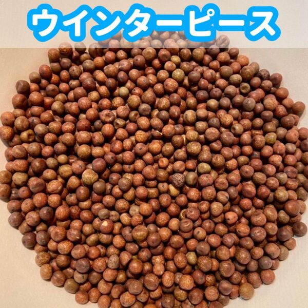 ウィンターピース(鳥の餌、鳩の餌)800g