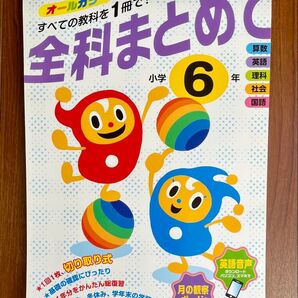 全科まとめて 小学6年 総ページ数 113ページ
