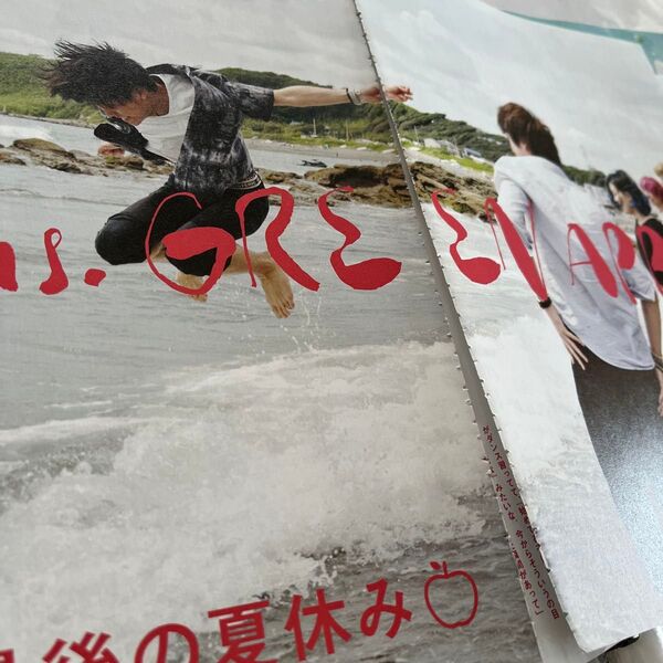 Mrrs.GREEN APPLE きり