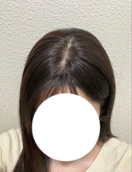 あるさんウィッグ 絹髪シリーズ 人毛 ロング ウィッグ