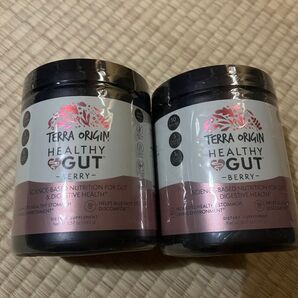 ヘルシーガット ベリー 243g 二個