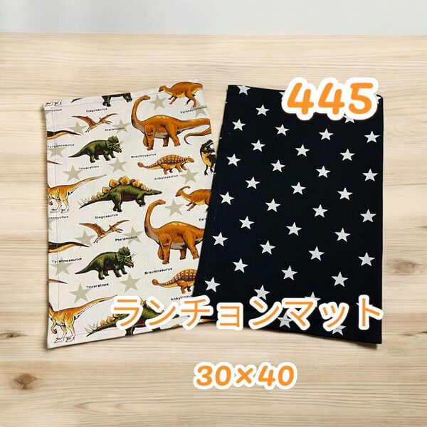 445 ランチョンマット 2枚セット 30×40 入園 入学 給食 お弁当 給食ナプキン ランチクロス
