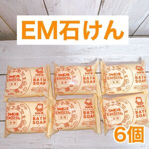 EM浴用石けん 100g 固形タイプ シャボン玉石けん 6個セット