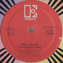 【廃盤12inch】Terry Callier / Sign Of The Times / Occasional Rain_画像2