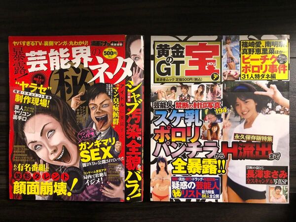 暴露!芸能界のマル秘ネタ (ミリオンコミックス) アンソロジー 黄金のGT宝 (Vol.7) 芸術芸能エンタメアート