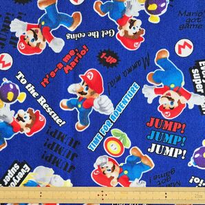 生地 オックス マリオ