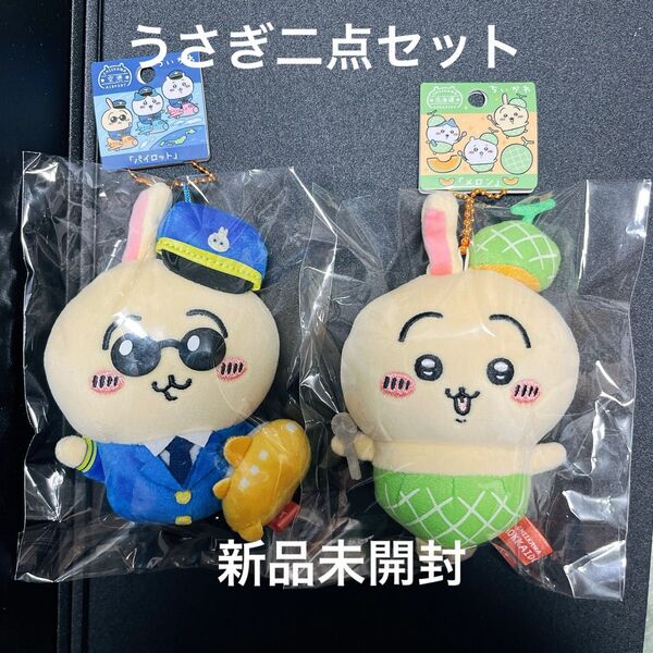 うさぎ二点セット 北海道限定メロン 空港限定 パイロット ぬいぐるみ キーホルダー ちいかわ マスコット