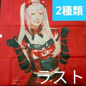 えなこ Goo のぼり 2種類