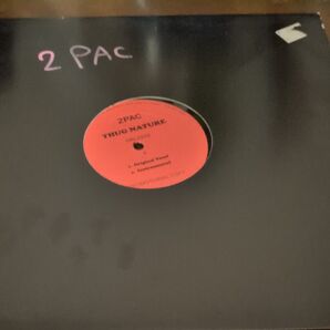 2PAC.THUGNATURE.WantedorAlive2pac&SNOOPDOGGYDOG