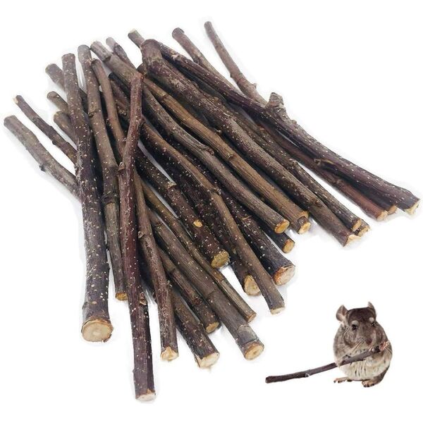 100g りんごの木 かじり木 小動物 おやつ 噛むおもちゃ 極細枝