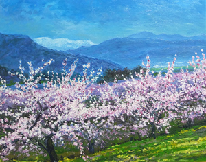 ■ 信州の風景油絵　あんずの里の春　F6号（114） 送料無料 ■