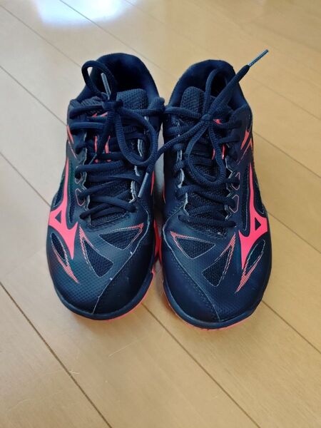 MIZUNO バドミントンシューズ ウェーブクローEL