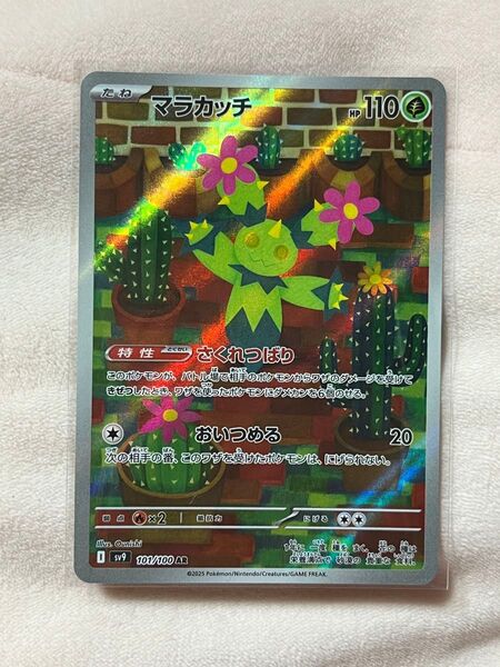 ポケモンカード バトルパートナーズ マラカッチ AR ポケモンカードゲーム ポケカ